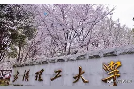 被叫做“984.5”的武汉理工大学是个什么档次？为何被这样称呼？图片