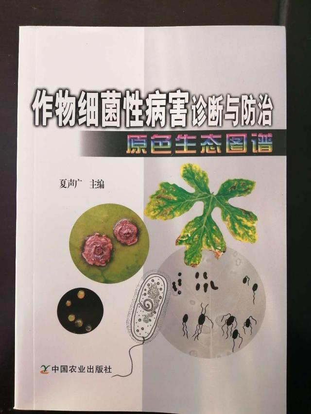 “龙克均+X”组合套装综合解决方案：