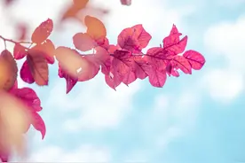 贺雪峰｜乡镇治理25个定律之二：心累定律（乡镇领导为什么忙）图片