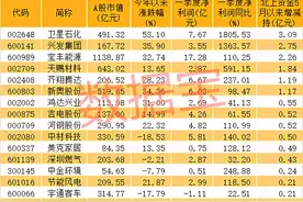 全球最大加氢站开始试运行！高瓴资本提前布局光伏巨头，1.8万亿板块即将起飞？未来高增长名单出炉图片