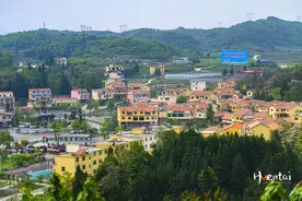 古镇旅游拍到一只脏狗，导游看后惊呼：世界顶级猎犬图片