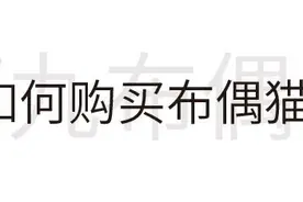 买布偶猫只需要看这篇文章！价值3w的踩雷经验都在里面图片