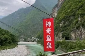 老汉因梦得宝，竟然挖出了地下鱼泉，每斤卖到200多元图片