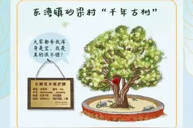 靖远文冠果来了解一下图片