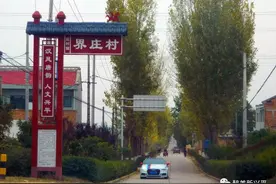 实拍，兴平界马路的秋色，让我怦然心动又思绪万千（实拍组图）图片