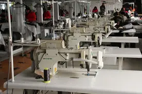 高等教育面临结构性变动：部分普通高校转型高职本科图片