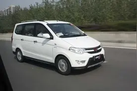 车门奇迹般出现1颗树苗，车主悉心照顾：碰车行，碰树就“拼命”图片
