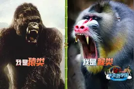 是猿是猴，傻傻分不清楚？其实一句话就能分清图片