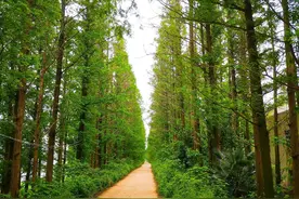 湖北有两个沉湖，你知道吗？图片