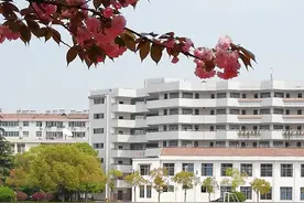 四月是你的谎言图片