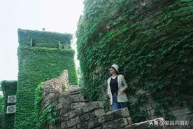 来上海这里拍英国古堡逛田园风光，不但免门票还免费停车图片