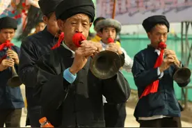 真•全村吃饭蛇：性格温顺但毒素却能深入骨髓，就是被咬后要睡觉图片