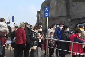 白虎山动物园再次迎来游客高峰图片