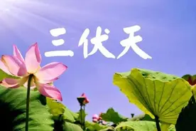 三伏天长肉“最猛”的5种主食，米饭馒头靠边站，减肥的要留意了图片