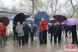 郑海霞为郏县王英沟村代言图片