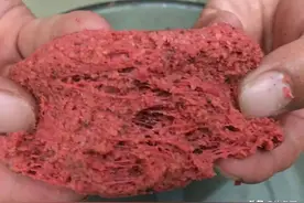 饵料中拉丝粉太多的利与弊，解决办法其实很简单，只要不嫌麻烦图片