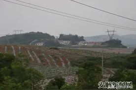 平坝区：生猪代养“家庭农场”托起百姓致富梦图片