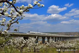 安徽一座普速火车站停运改造 高铁站距离市区30公里 市民吐槽出行难图片