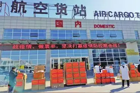 杨凌：小财政给力大发展图片