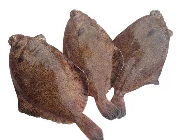 给小孩子吃哪种鱼胶好 2026年给小孩子吃哪种鱼胶好一点