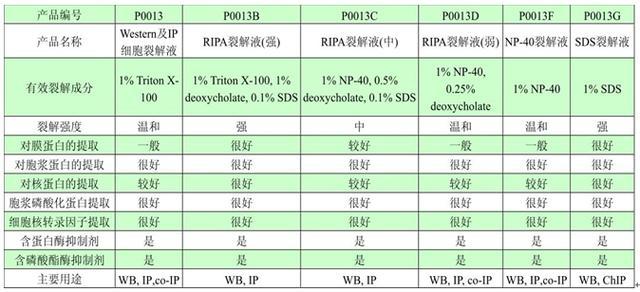 生物科研狗必备技能之~Western Blot