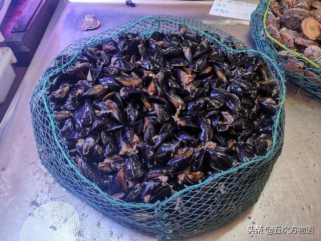 六耳赤嘴鱼胶有收藏价值吗 2026年六耳赤嘴鱼胶的功效和作用
