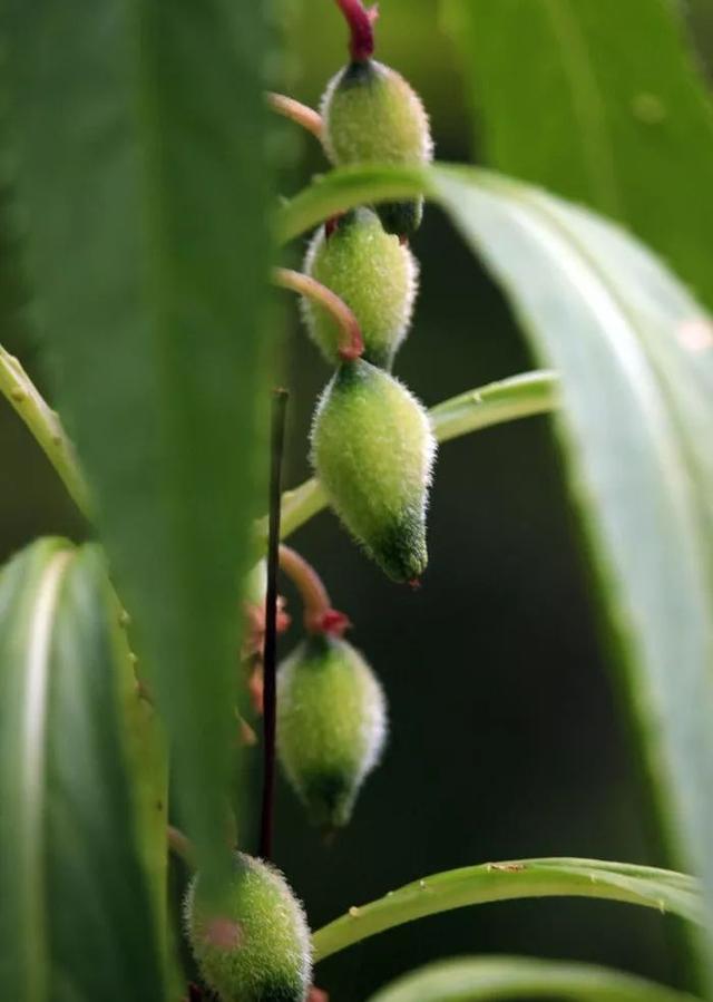 涂甲油胶花型 2025年涂甲油胶花型怎么涂 涂甲油胶花型 2025年涂甲油胶花型怎么涂