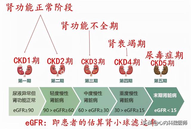 尿肌酐比值偏高怎么办
