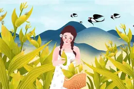 离婚后，小姨子借我三十万救急，事后故意不归还：我们一起养猪吧图片