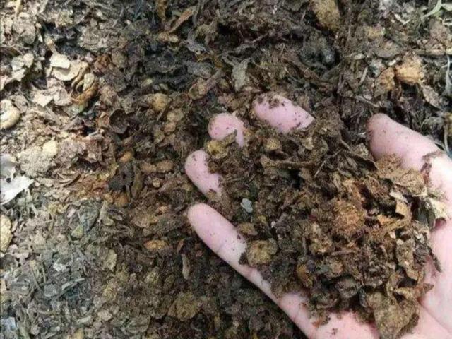 养分含量超高的营养土，自己在家也能做，省下一大笔 买花钱