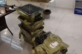 隐秘的“宠物盲盒”？晚上偷偷寄送猫狗，品种犬实为小土狗，遭退单直接遗弃路边致其死亡图片