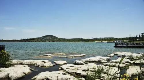 省政府研究室重磅调研：采煤塌陷地绿色转型的“贾汪样本”