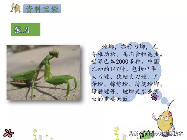 部编语文二年级（下）《我是一只小虫子》知识点、练习