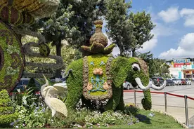 不传谣 市属七家公园国庆如何开放看这里图片