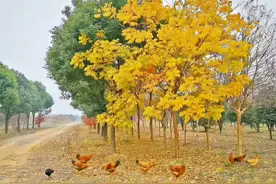 社会将人群分为8个层面，在哪一层很重要，决定了人生的收获图片