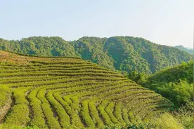 福泉山 诗画田园图片