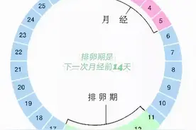 【答个疑】排卵期该如何计算呢？图片