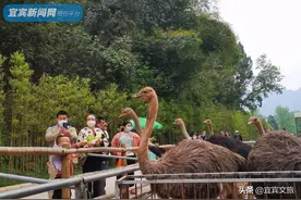 “五一”快来咯！这些耍法你都安排上了吗？图片