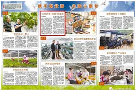 永定抚市：比利时兔“领跑”致富路图片
