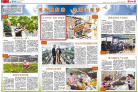 永定抚市：比利时兔“领跑”致富路图片