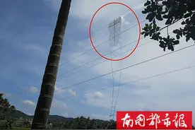 万万没想到！超大风筝挂上万宁一处高压线以后…图片