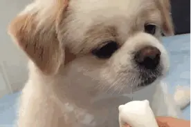 表情包｜都几点了，还不开车图片