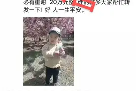 张静5岁儿子被人从双语幼儿园拐走？假的！图片