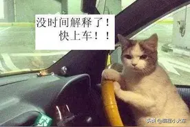 程序员代码泄露！同事看后惊叹：谁的代码注释我都不服，就服你图片