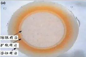 氯化钾缓释片服用后直接从大便拉出来，是患者胃肠功能不好吗？图片