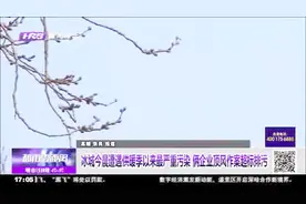 哈市出现重度污染天气，数据表明，燃煤和机动车尾气是污染主因视频封面