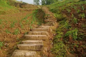 重庆市涪陵区青龙古道图片