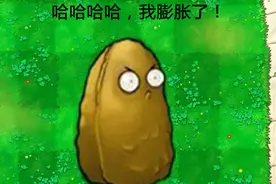 帅不过三秒！植物大战僵尸四图漫画：小弟吹捧高建国。图片
