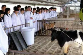 贵州畜牧兽医学校2021年开设有哪些专业图片