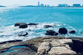 壁纸自己拍丨酒后吐真言，酒醒说谎话图片